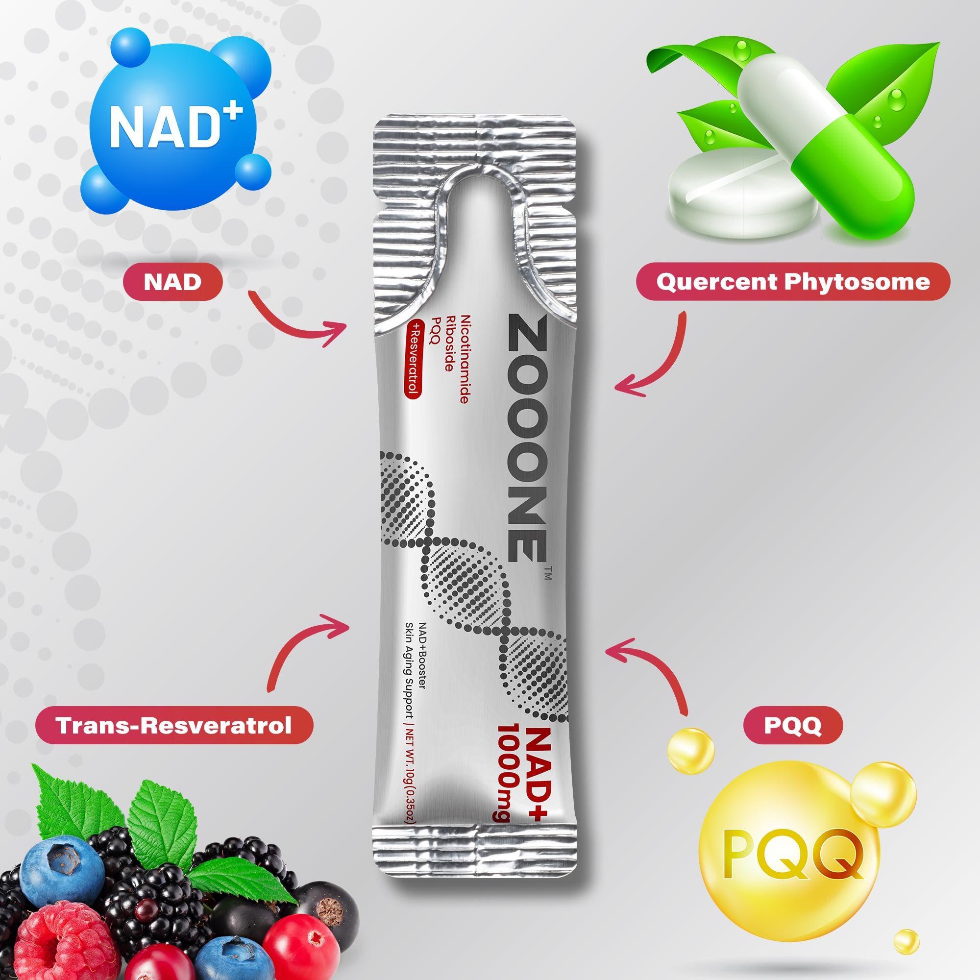 ZOOONE NR1000 – NAD+ Berry Flavor Drink Mix for Skin Aging Support, Energy, and Focus – 30 Pack